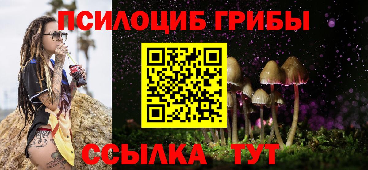 Галлюциногенные грибы мицелий  Псилоцибиновые грибы Psilocybe  Вход с VPN  Мончегорск 